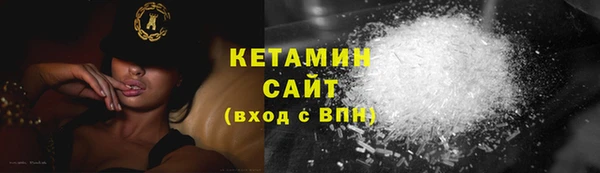 гидра Елабуга