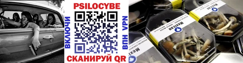 Галлюциногенные грибы Psilocybine cubensis  Славск 